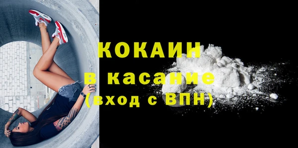 прущие грибы Алексин