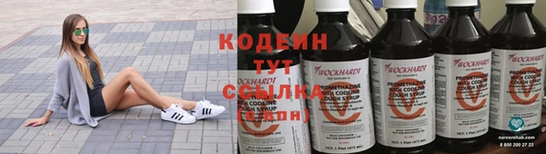 прущие грибы Алексеевка