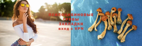 прущие грибы Алексин