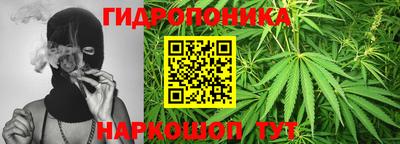 гашиш Можга