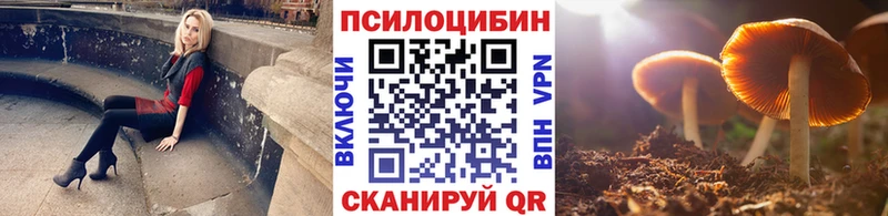 даркнет сайт Павлово Галлюциногенные грибы Psilocybe