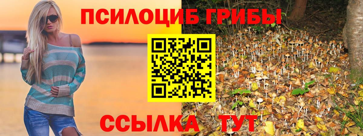Псилоцибиновые грибы ЛСД  Вход с VPN  Галлюциногенные грибы MAGIC MUSHROOMS  Павлово 